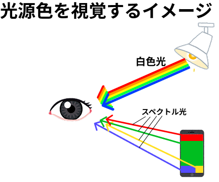 光源色を見るイメージ