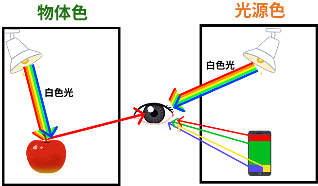 色を見るイメージ